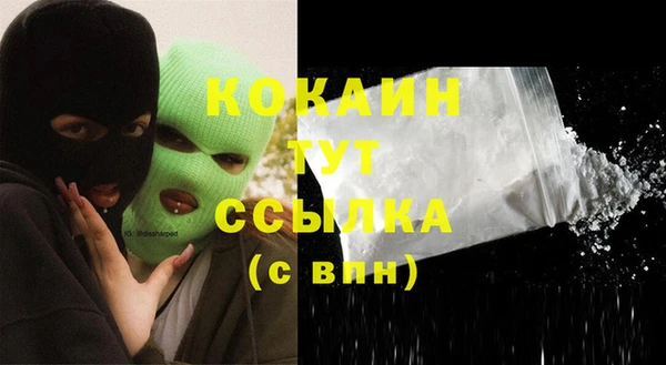 дурь Горняк