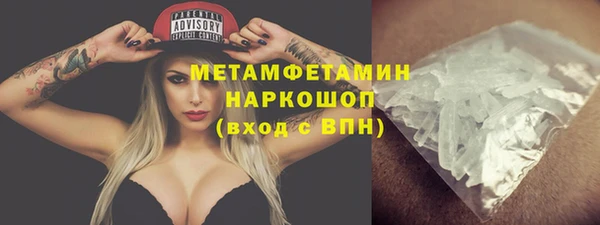 молекула духа Вяземский