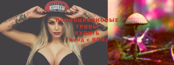 дурь Горняк
