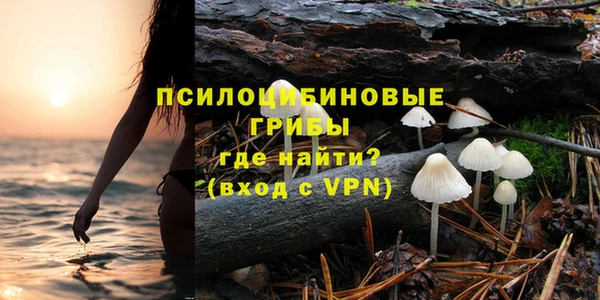 дурь Горняк